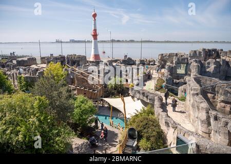 Bremerhaven, Germania. 8 maggio 2020. I visitatori camminano attraverso lo zoo vicino al mare a una distanza sicura. Per la prima volta, i visitatori hanno potuto anche dare un'occhiata da vicino alla prole dell'orso polare. Quando i due cuccioli erano abbastanza adatti per il loro primo soggiorno nel recinto esterno alla fine di marzo, lo zoo era già chiuso a causa della crisi della corona. Credit: Sina Schuldt/dpa/Alamy Live News Foto Stock