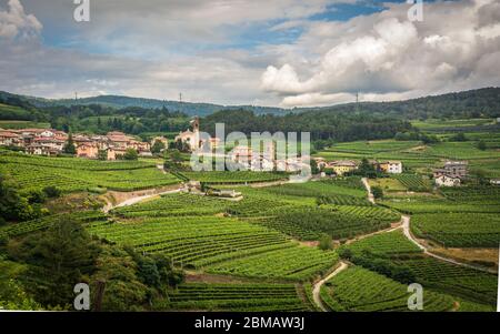 Paesaggio della Valle di Cembra : vigneti che circondano il paese di Cembra, Valle di Cembra, Trentino Alto Adige, Italia settentrionale Foto Stock