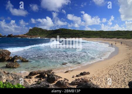 Guadeloupe spiaggia paesaggio. Anse des Chateaux spiaggia di sabbia vista panoramica. Foto Stock