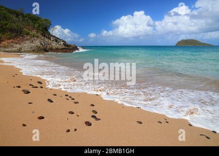 Spiaggia sabbiosa di Guadalupa dell'isola basse-Terre. Paesaggio di vacanza dei Caraibi. Spiaggia di Tillet (Plage de Tillet). Foto Stock