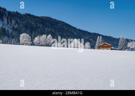 Splendido paesaggio invernale di montagna con capanna tradizionale nelle Alpi. Leogang, Tirolo, Austria Foto Stock