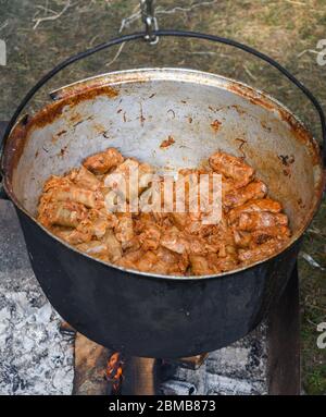 Cibo tipico rumeno chiamato sarmale. Panini con carne, riso e verdure. Il cavolo ripieno lascia la carne ripiena in una pentola tradizionale. Visualizza da Foto Stock