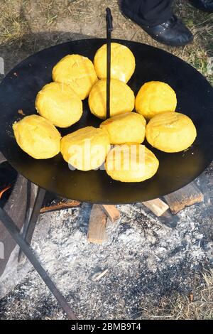 Palle di polenta e formaggio al centro di essa, chiamato bulz, un piatto tradizionale rumeno. Tostatura di polenta e formaggio alla griglia all'esterno, con pecora Foto Stock