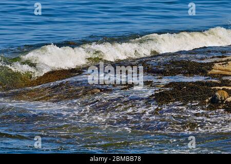 Un oceano che si rompe su una costa rocciosa sull'Isola di Vancouver, British Columbia Canada Foto Stock