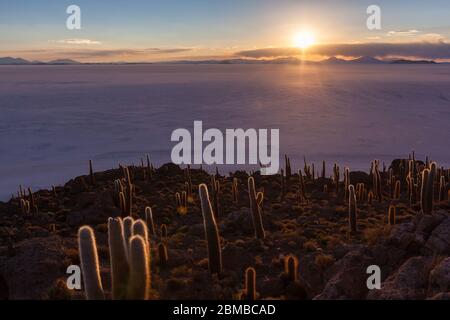 Bella colorata tramonto paesaggio isola di cactus nel mezzo di uyuni salar ( saline ) Foto Stock