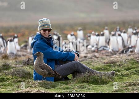 Donna con Falkland Skua; Stercorarius antarcticus; Gentoo Penguin Colony Beyond; Falklands Foto Stock