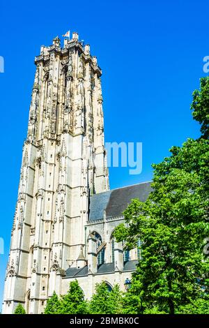 Mechelen, Belgio: La torre della Cattedrale di San Rumbold foglie verdi di albero. Foto Stock