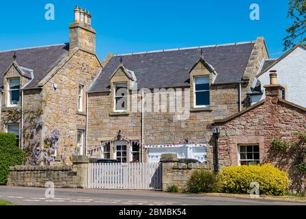 Oca Green, Gullane, East Lothian, Scozia, Regno Unito. 8 maggio 2020. Festa del Ve: Bunting decora una casa nel villaggio nella 75a commemorazione della Vittoria in Europa Foto Stock