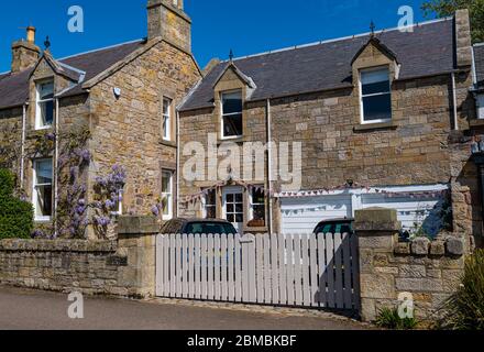 Oca Green, Gullane, East Lothian, Scozia, Regno Unito. 8 maggio 2020. Festa del Ve: Bunting decora una casa nel villaggio nella 75a commemorazione della Vittoria in Europa Foto Stock