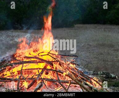 Legno in fiamme. Fiamma arancione su calici e ceneri calde. Falò sul campo. Foto Stock