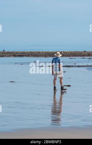 Charmouth Dorset, Regno Unito. 8 maggio 2020. UK Weather: Un pomeriggio caldo e soleggiato in riva al mare a Charmouth, West Dorset. Nonostante il bel tempo le spiagge rimangono tranquille sul 75 ° aniverario del giorno VE come la gente continua a seguire i consigli per rimanere a casa durante il blocco pandemico coronavirus. Un uomo cammina sulla spiaggia deserta. Credit: Celia McMahon/Alamy Live News Foto Stock