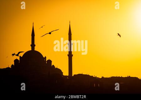 Moschea Fatih e gabbiani al tramonto Foto Stock