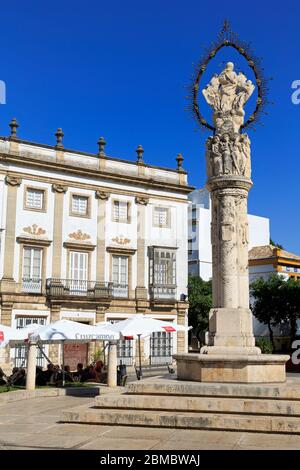 Plaza de Asuncion, Jerez de la Frontera, Andalusia, Spagna, Europa Foto Stock