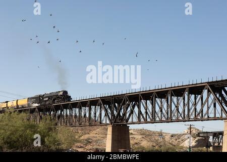 Locomotiva a vapore che attraversa il ponte a trespolo con uccelli che sorvolano Foto Stock