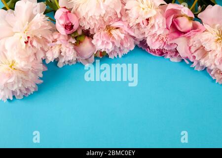 banner web con peonie rosa su sfondo blu Foto Stock