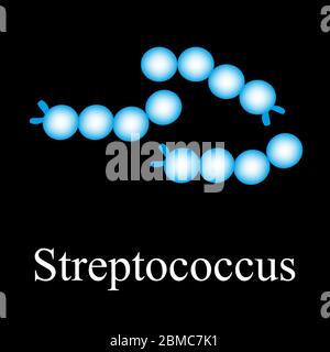 Struttura dello Streptococcus. Streptococco batterico. Infografica. Illustrazione vettoriale su sfondo isolato. Illustrazione Vettoriale