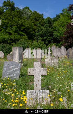 West Norwood, Regno Unito. 8 maggio 2020. West Norwood Cemetery nel 75° anniversario del Ve Day a Londra del Sud, Inghilterra. Il West Norwood Cemetery è un cimitero rurale di 40 acri a West Norwood a Londra, Inghilterra. Era anche conosciuto come il Cimitero Metropolitano del Sud. Il cimitero contiene 52 tombe di guerra del Commonwealth della seconda guerra mondiale e 136 della prima guerra mondiale (foto di Sam Mellish / Alamy Live News) Foto Stock