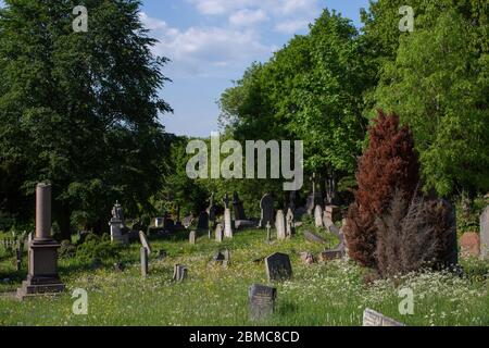 West Norwood, Regno Unito. 8 maggio 2020. West Norwood Cemetery nel 75° anniversario del Ve Day a Londra del Sud, Inghilterra. Il West Norwood Cemetery è un cimitero rurale di 40 acri a West Norwood a Londra, Inghilterra. Era anche conosciuto come il Cimitero Metropolitano del Sud. Il cimitero contiene 52 tombe di guerra del Commonwealth della seconda guerra mondiale e 136 della prima guerra mondiale (foto di Sam Mellish / Alamy Live News) Foto Stock