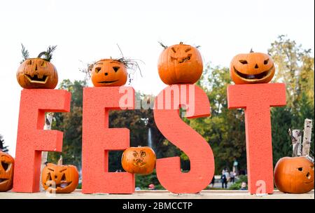 Festa della zucca all'aperto, evento autentico di Halloween, zucche intagliate a mano in linea, il più grande muro di zucca nel parco. Decorazioni di Halloween in natura, Foto Stock
