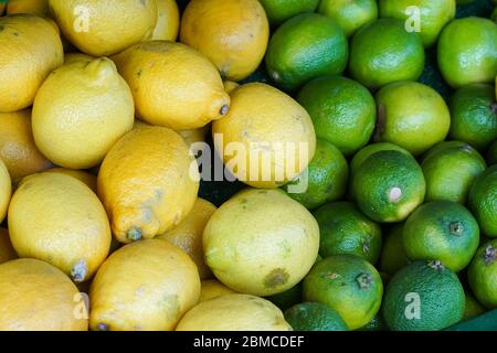 Limoni organici e lime imperfetti Foto Stock