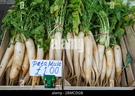 Rafano (Mula) verdure asiatiche per la vendita al mercato locale nel Regno Unito Foto Stock