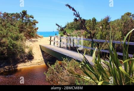 Escursione verso Beach Paradise - footbrigde che conduce alla Baia di Torrent al Parco Nazionale Abel Tasman in Nuova Zelanda. Il ponte su un ruscello con acqua marrone Foto Stock