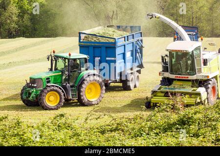 Coltivatore che raccoglie erba per insilamento nella campagna del Cheshire, con un trattore John Deere verde e una trebbiatrice Claas Jaguar 840 Foto Stock