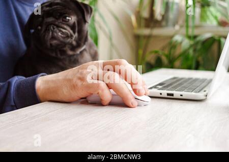 Uomo che lavora a casa con un computer portatile con cane nero. Ufficio mobile, online e remoto in quarantena Foto Stock