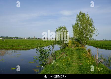 Piccolo sentiero, Tiendweg, a Groene Hart, Olanda Foto Stock