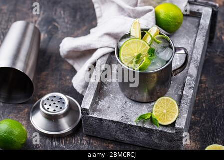 Mug cocktail a Mosca in tazza Foto Stock