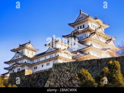 La torre bianca principale dello storico castello giapponese di Himeji è circondata da alte mura di pietra contro il cielo blu chiaro. Foto Stock