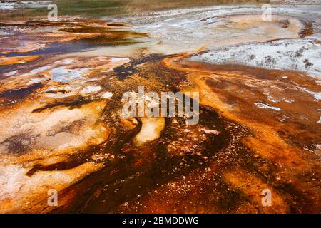 Mai fine tonalità arancione e contrasti di Yellowstone Foto Stock