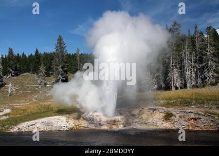 Vista dell'eruzione del Grand Geyser a Yellowstone Foto Stock