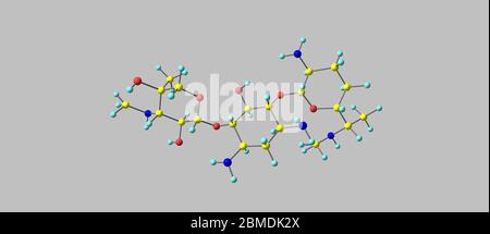 La gentamicina è un antibiotico usato per trattare diversi tipi di infezioni batteriche. Ciò può includere infezioni ossee, endocardite, meningite, polmonite Foto Stock