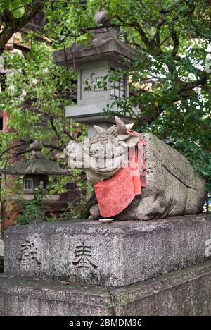 La statua di bue, il messaggero animale (otsukai) di Dio Tenjin (Sugawara Michizane), giace giù vicino alla lanterna di pietra al santuario di Kitano Tenmangu. Kyo Foto Stock