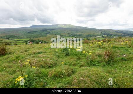 Cavan Burren Park, Geopark, Blacklion, Irlanda, Foto Stock