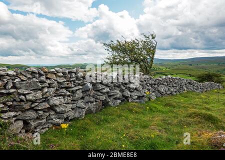 Cavan Burren Park, Geopark, Blacklion, Irlanda, Foto Stock