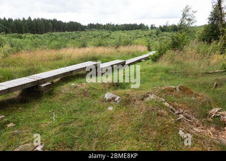 Cavan Burren Park, Geopark, Blacklion, Irlanda, Foto Stock