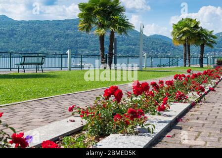 Passeggiata sul Lago con fiori rossi, Lago maggiore, Italia Foto Stock