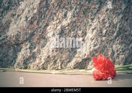 un garofano rosso giace su una lastra di granito. Foto Stock