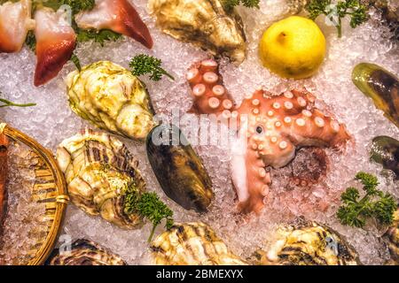 Molti tipi di pesce, serviti su ghiaccio tritato Foto Stock