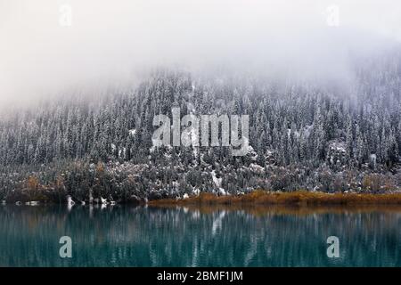 Uno splendido scenario di foggy lago Issyk con foreste di abete rosso con neve in autunno in Kazakistan e in Asia centrale Foto Stock