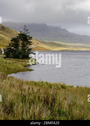 La nuvola bassa avvolge le pile di smottamenti Old Man of Storr sopra Loch Fada sull'isola di Skye. Foto Stock