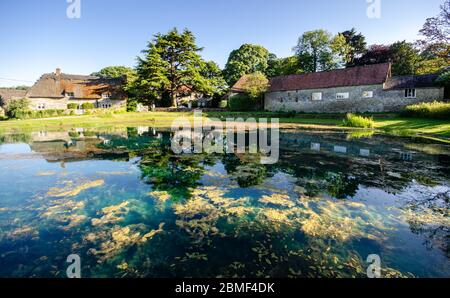 Tradizionale cottage in pietra circondano la rugiada stagno in Ashmore village, Dorset, Inghilterra. Foto Stock