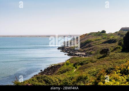 Weymouth, Inghilterra, Regno Unito - 18 maggio 2013: La vegetazione di macchia copre le rive del porto di Portland a Rodwell in Dorset, con Chesil Beach dietro. Foto Stock