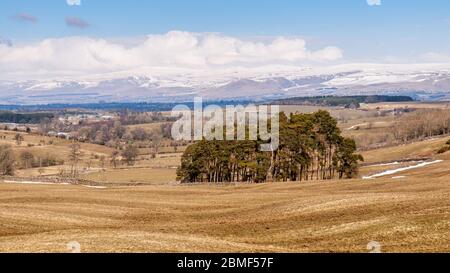 Il sole splende sul paesaggio agricolo della Eden Valley, sotto le colline innevate dei Pennines del Nord. Foto Stock