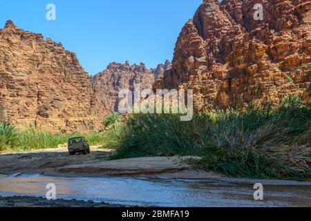 Wadi Disah. Regione di Tabuk, Arabia Saudita. Foto Stock