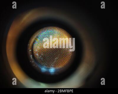 Livello atomico di zoom dei prodotti di stampa a colori Foto Stock
