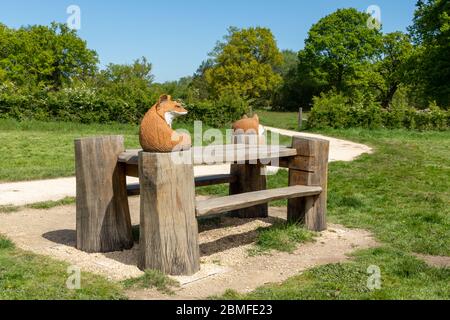 Bramshot Farm Country Park vicino a Fleet, Hampshire, Regno Unito. Panca scolpita con sculture di animali Foto Stock