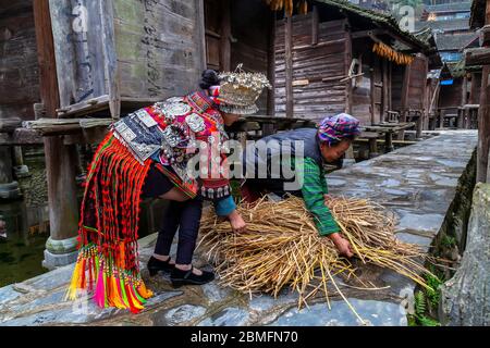 Una giovane donna che indossa un abito tradizionale, aiutando una donna anziana con il suo carico di hay.They sono della minoranza Miao di bordo corto Datang. Kail Foto Stock